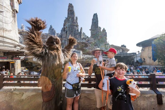 Budget-friendly theme park vacations